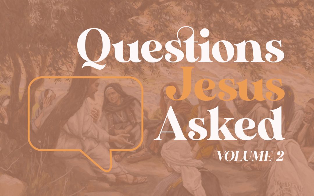Questions Jesus Asked Vol 2